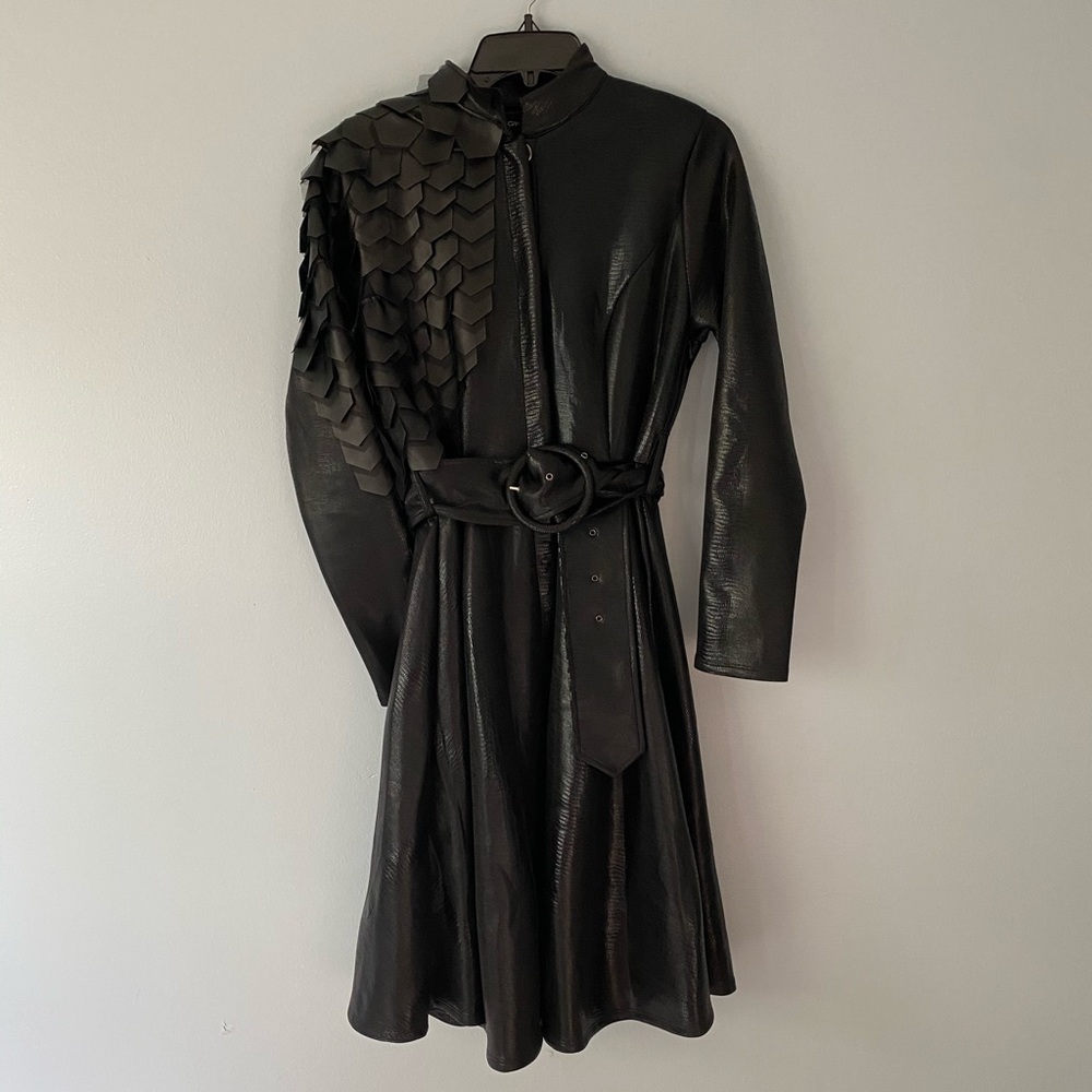 CQBYCQ Black Scale Dress